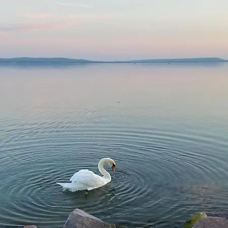Luna Rossa Boutique דירה *