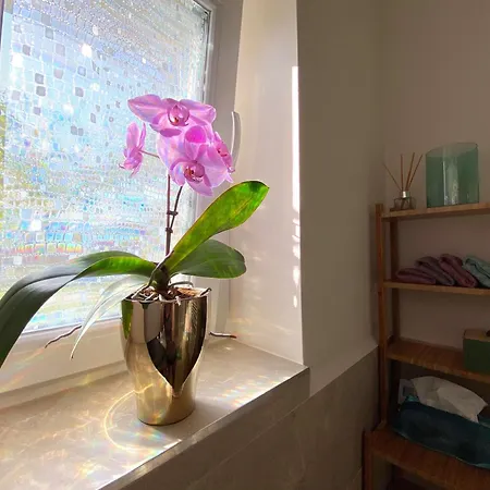 דירה Luna Rossa Boutique *